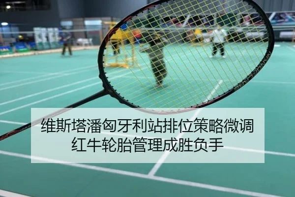 维斯塔潘匈牙利站排位策略微调 红牛轮胎管理成胜负手
